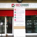 Redgreen Valencia Malilla