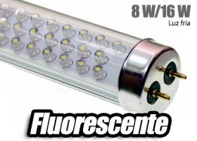 Fluorescente